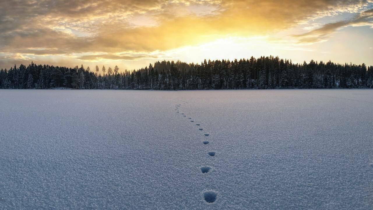 20.02