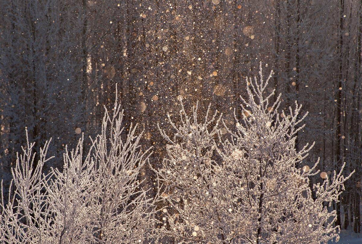 01.03