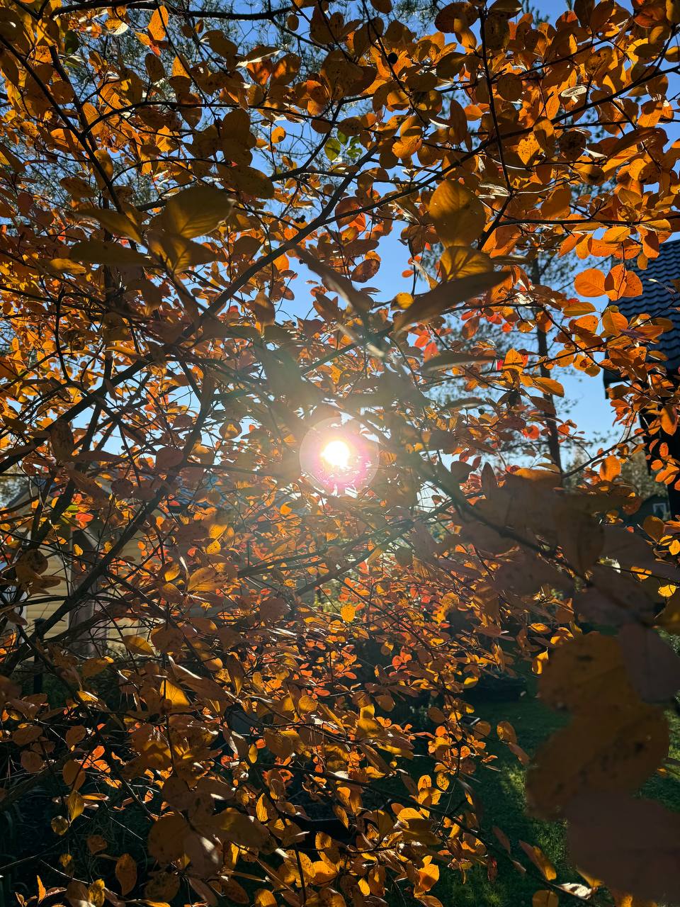 13.10