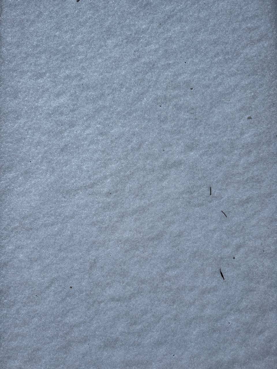 02.01