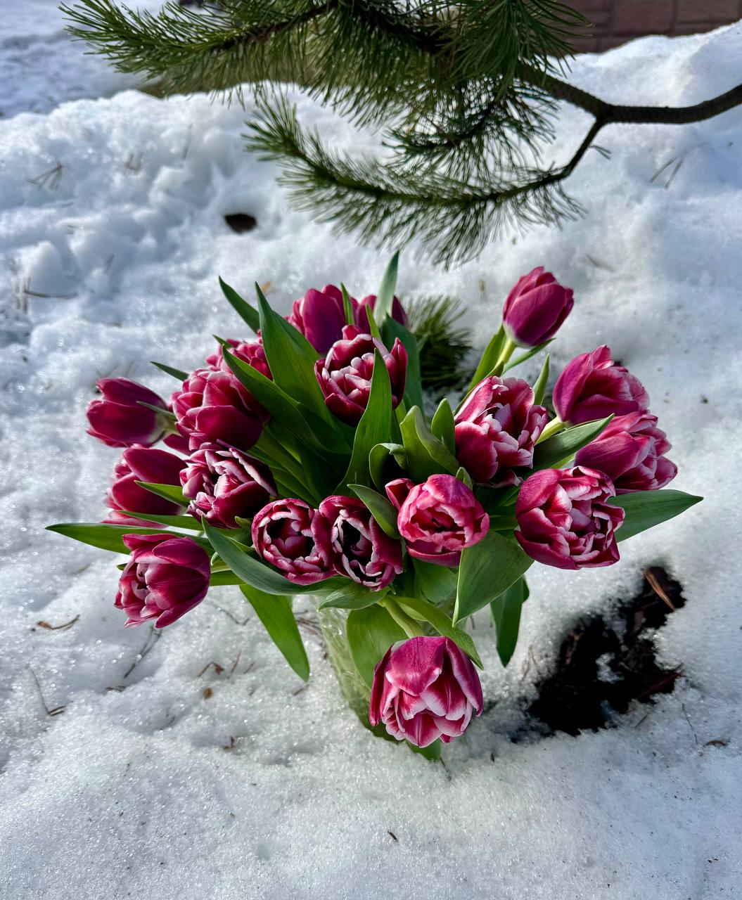 29.01