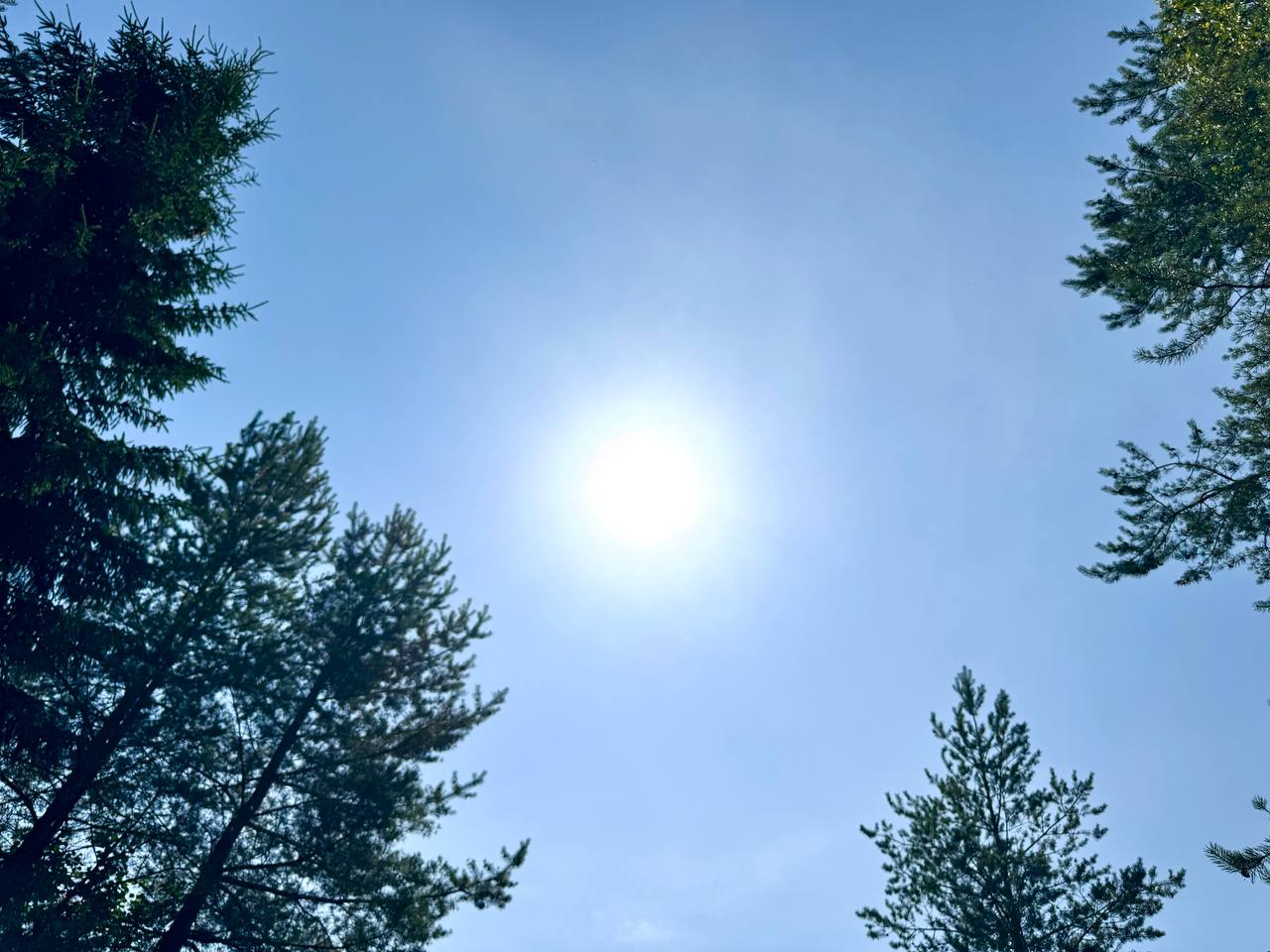 15.07