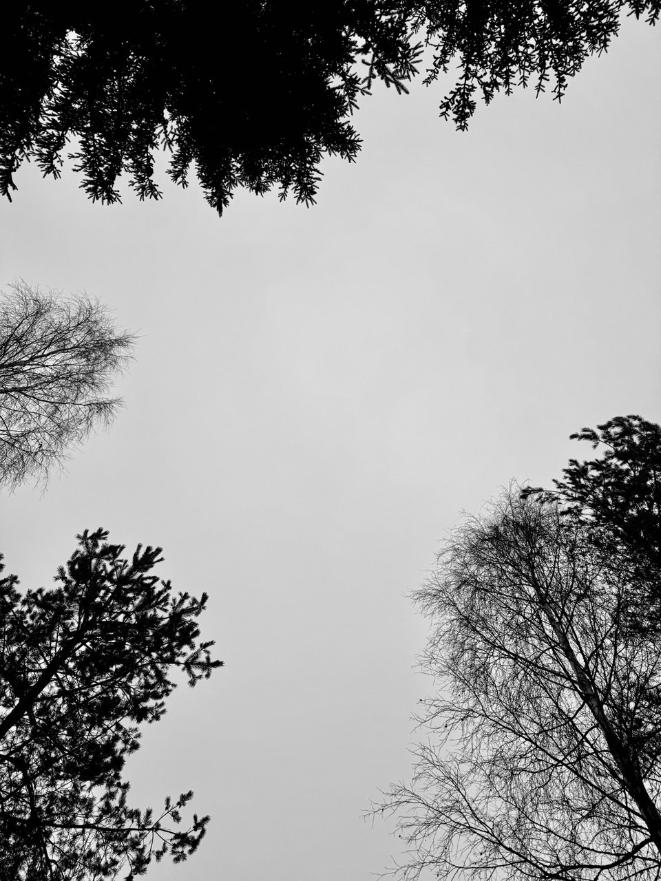 30.11