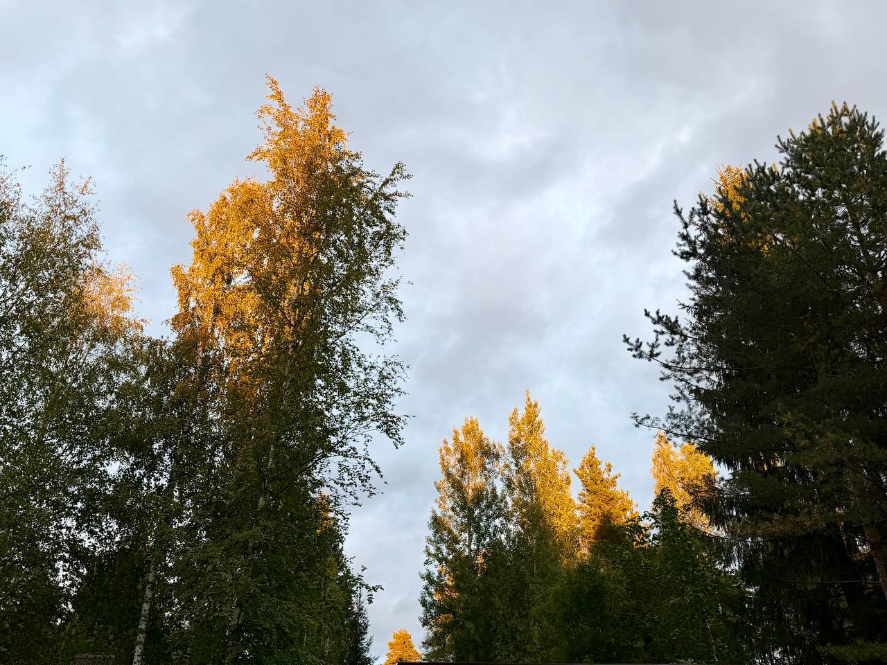 photo_4523