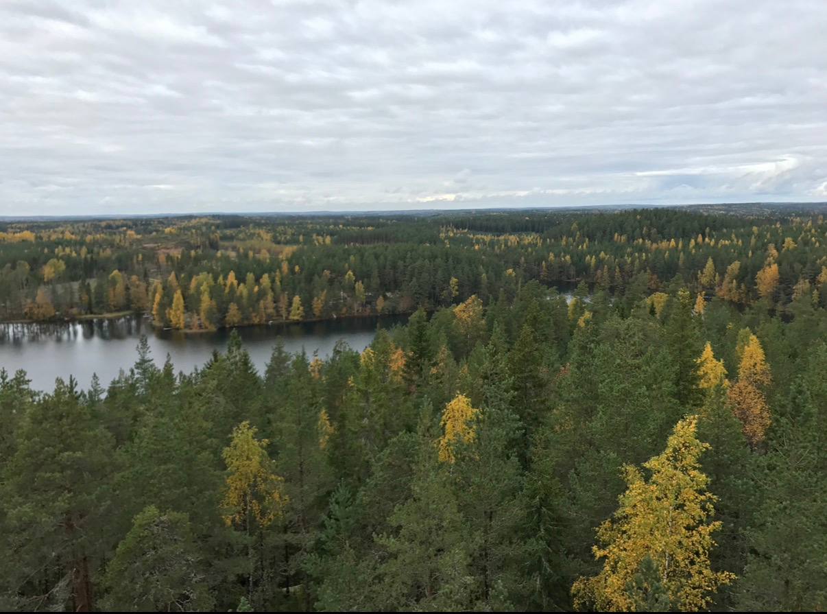 photo_4621